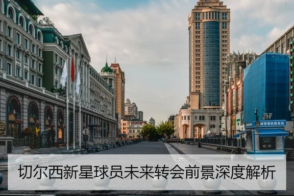 切尔西新星球员未来转会前景深度解析