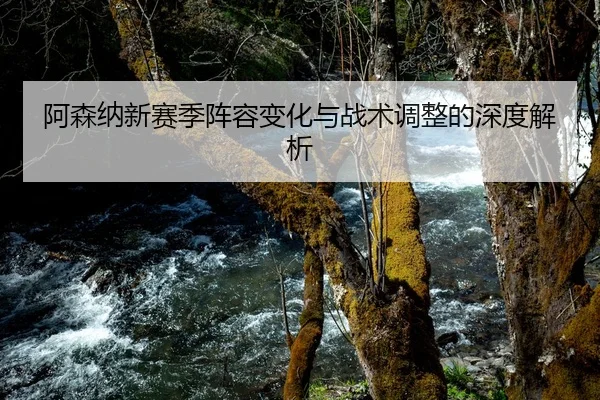 阿森纳新赛季阵容变化与战术调整的深度解析